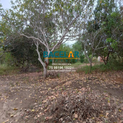 Imagem Imóvel à Venda, em Retiro - Coração De Maria Imagem Imóvel à Venda, em Retiro - Coração De Maria