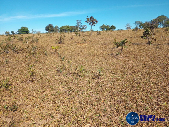 Imagem Fazenda à Venda, 38 m² em Zona Rural - Perolândia Imagem Fazenda à Venda, 38 m² em Zona Rural - Perolândia
