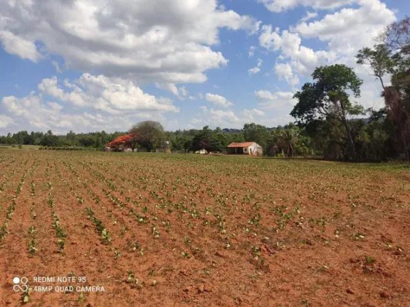 Imagem Imóvel com 2 Quartos à Venda, 96.800 m² em Rural - Japira