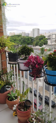 Imagem Apartamento com 1 Quarto à Venda, 36 m² em Cambuci - São Paulo