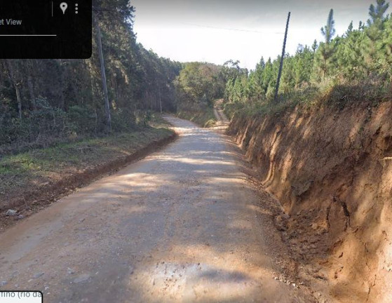 Imagem Imóvel com 3 Quartos à Venda, 72.000 m² em Centro - Tunas Do Parana