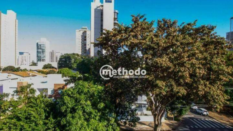 Imagem Apartamento com 3 Quartos à Venda, 113 m² em Cambuí - Campinas Imagem Apartamento com 3 Quartos à Venda, 113 m² em Cambuí - Campinas