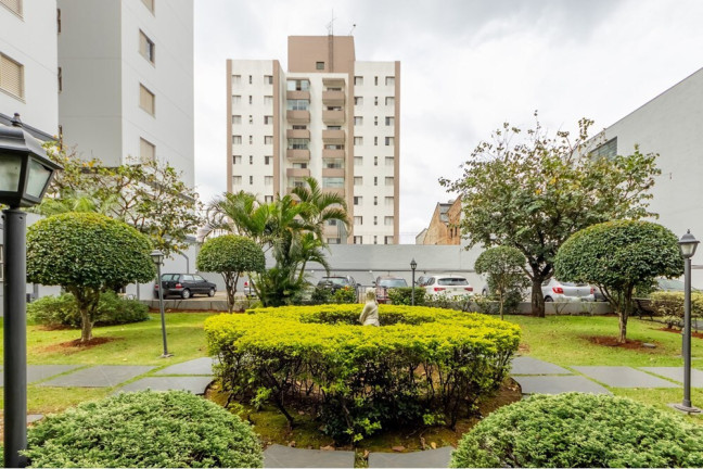Imagem Apartamento com 3 Quartos à Venda, 61 m² em Vila Santa Catarina - São Paulo Imagem Apartamento com 3 Quartos à Venda, 61 m² em Vila Santa Catarina - São Paulo