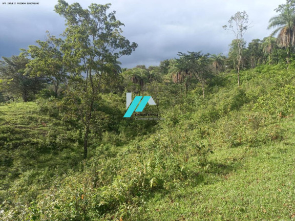 Imagem Fazenda à Venda, 27 m² em Caio Martins - Esmeraldas Imagem Fazenda à Venda, 27 m² em Caio Martins - Esmeraldas