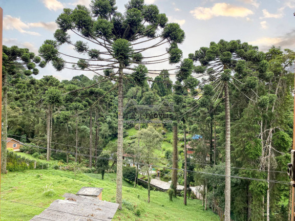 Imagem Apartamento com 3 Quartos à Venda, 116 m² em Morro Do Elefante - Campos Do Jordão Imagem Apartamento com 3 Quartos à Venda, 116 m² em Morro Do Elefante - Campos Do Jordão