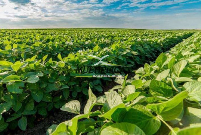 Fazenda à Venda, 90 m² em área Rural De Uberlândia - Uberlândia