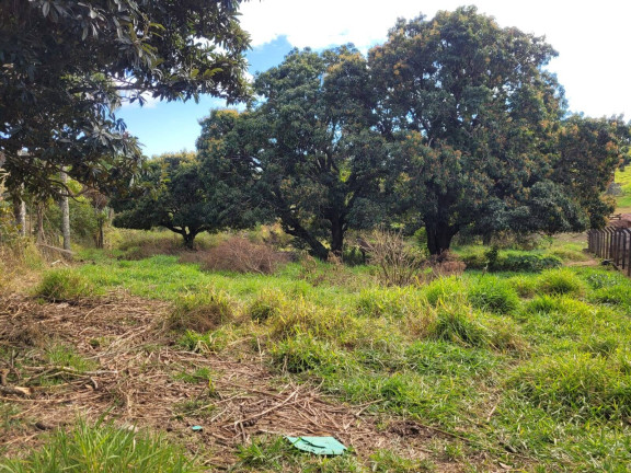 Imagem Chácara à Venda, 4 m² em Morro Grande Da Boa Vista - Bragança Paulista Imagem Chácara à Venda, 4 m² em Morro Grande Da Boa Vista - Bragança Paulista