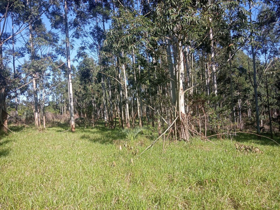 Imagem Chácara à Venda, 29.000 m² em Pimenta - Viamão Imagem Chácara à Venda, 29.000 m² em Pimenta - Viamão