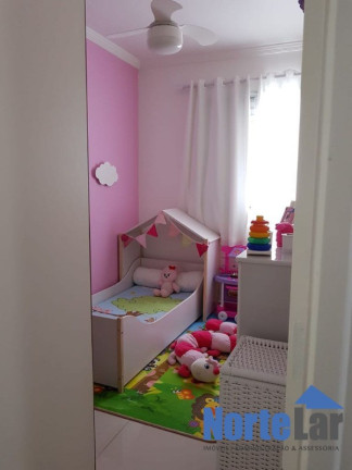 Imagem Apartamento com 3 Quartos à Venda, 55 m² em Vila Amélia - São Paulo