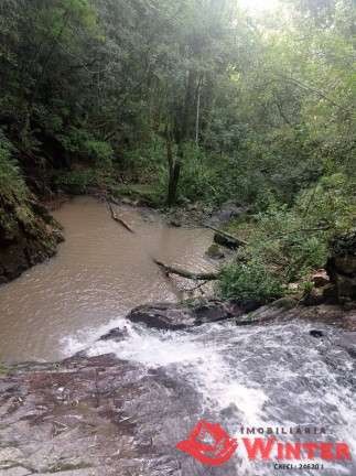 Imagem Chácara à Venda, 56 m² em Linha Nova Baixa - Presidente Lucena Imagem Chácara à Venda, 56 m² em Linha Nova Baixa - Presidente Lucena