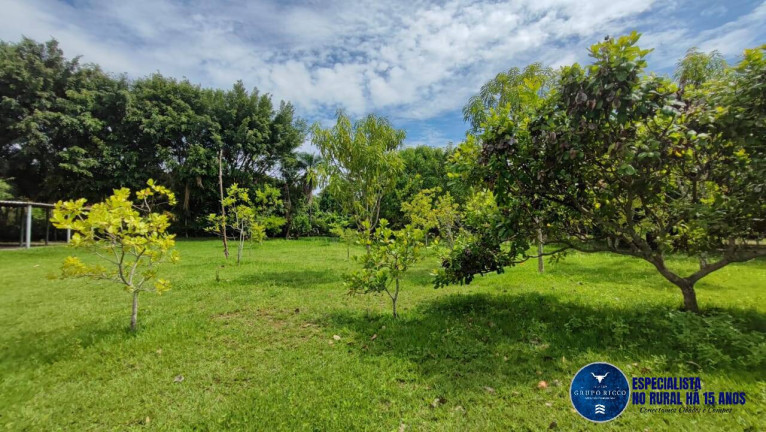 Imagem Chácara à Venda, 4 m² em Zona Rural - Hidrolândia Imagem Chácara à Venda, 4 m² em Zona Rural - Hidrolândia