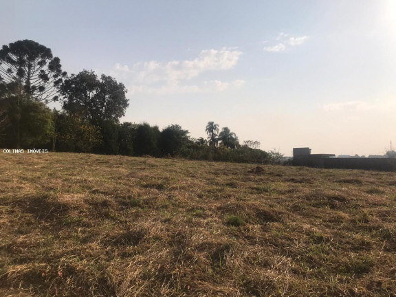 Imagem Terreno à Venda,  em Antes Do Centro - Ibiúna