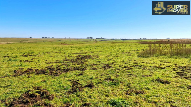 Imagem Imóvel à Venda, 1.880.000 m² em área Rural De Bagé - Bagé Imagem Imóvel à Venda, 1.880.000 m² em área Rural De Bagé - Bagé