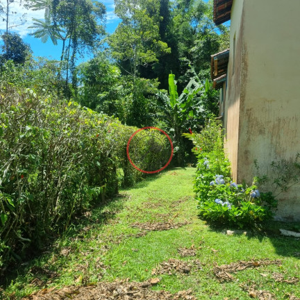 Imagem Casa com 2 Quartos à Venda, 150 m² em Boiçucanga - São Sebastião