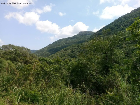 Terreno à Venda, 3 m² em Linha Pirajá Baixa - Nova Petrópolis
