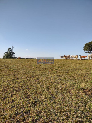 Imagem Imóvel com 14 Quartos à Venda, 121.000 m² em Pinhal - Cabreúva