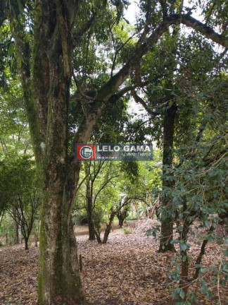 Imagem Terreno à Venda, 3 m² em Maria Mercedes - Santana De Parnaíba Imagem Terreno à Venda, 3 m² em Maria Mercedes - Santana De Parnaíba