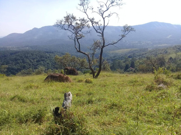 Imagem Terreno à Venda, 303 m² em Cidade São Pedro - Gleba A - Santana De Parnaíba Imagem Terreno à Venda, 303 m² em Cidade São Pedro - Gleba A - Santana De Parnaíba