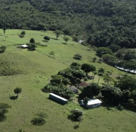 Imagem Chácara à Venda, 2 m² em Serra Grande - Uruçuca - Uruçuca Imagem Chácara à Venda, 2 m² em Serra Grande - Uruçuca - Uruçuca