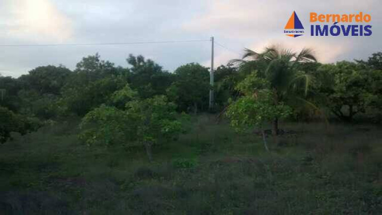 Imagem Chácara à Venda, 5 m² em Caponga - Cascavel Imagem Chácara à Venda, 5 m² em Caponga - Cascavel