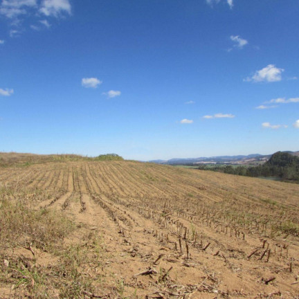 Imagem Fazenda à Venda, 240 m² em Jardim Do Contorno - Poços De Caldas Imagem Fazenda à Venda, 240 m² em Jardim Do Contorno - Poços De Caldas