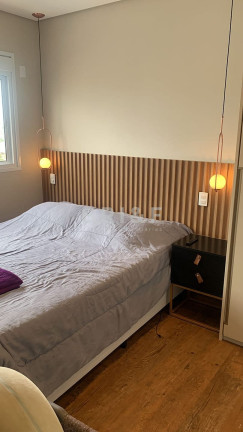 Imagem Apartamento com 3 Quartos à Venda, 81 m² em Vila Santa Catarina - São Paulo Imagem Apartamento com 3 Quartos à Venda, 81 m² em Vila Santa Catarina - São Paulo