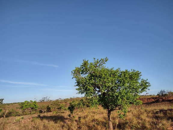 Imagem Fazenda à Venda, 1.046 m² em Arinos - Arinos Imagem Fazenda à Venda, 1.046 m² em Arinos - Arinos