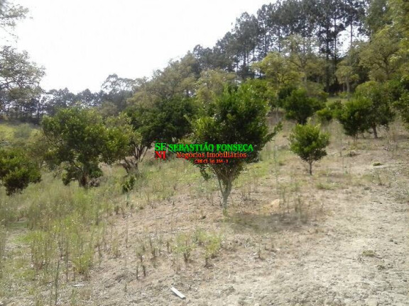 Imagem Chácara à Venda, 33.880 m² em Centro - Paraibuna Imagem Chácara à Venda, 33.880 m² em Centro - Paraibuna