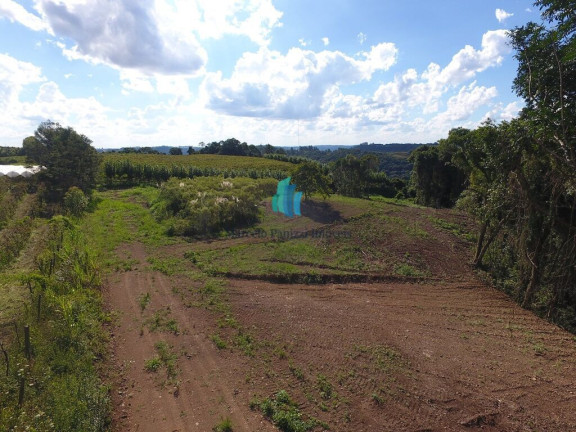 Imagem Terreno à Venda, 20.000 m² em Linha Palmeiro - Pinto Bandeira Imagem Terreno à Venda, 20.000 m² em Linha Palmeiro - Pinto Bandeira