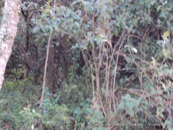 Imagem Terreno em Condomínio à Venda, 3.009 m² em Paisagem Renoir - Cotia Imagem Terreno em Condomínio à Venda, 3.009 m² em Paisagem Renoir - Cotia