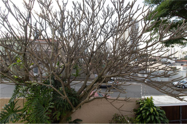 Imagem Casa com 3 Quartos à Venda,  em Bosque Da Saúde - São Paulo