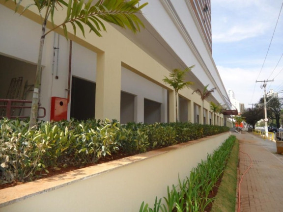 Imagem Imóvel à Venda, 205 m² em Vila Itapura - Campinas Imagem Imóvel à Venda, 205 m² em Vila Itapura - Campinas
