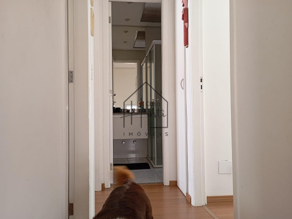 Imagem Casa de Condomínio com 3 Quartos à Venda, 125 m² em Jardim Rebelato - Cotia Imagem Casa de Condomínio com 3 Quartos à Venda, 125 m² em Jardim Rebelato - Cotia