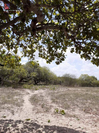 Imagem Fazenda à Venda, 50.000 m² em Centro - João Câmara Imagem Fazenda à Venda, 50.000 m² em Centro - João Câmara