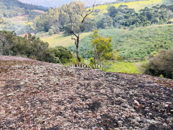 Imagem Terreno à Venda, 8.000 m² em Centro - Toledo Imagem Terreno à Venda, 8.000 m² em Centro - Toledo