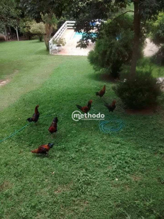 Imagem Chácara com 1 Quarto à Venda, 240 m² em Parque Rural Fazenda Santa Cândida - Campinas Imagem Chácara com 1 Quarto à Venda, 240 m² em Parque Rural Fazenda Santa Cândida - Campinas