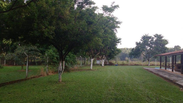 Imagem Chácara com 4 Quartos à Venda, 20.000 m² em Centro - Boituva