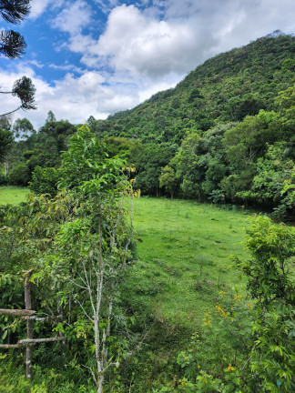 Imagem Imóvel à Venda, 130.932 m² em Zona Rural - Alfredo Wagner Imagem Imóvel à Venda, 130.932 m² em Zona Rural - Alfredo Wagner