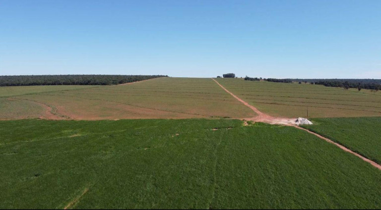 Imagem Fazenda à Venda, 8.100 m² em Rural - Chapadão Do Sul Imagem Fazenda à Venda, 8.100 m² em Rural - Chapadão Do Sul