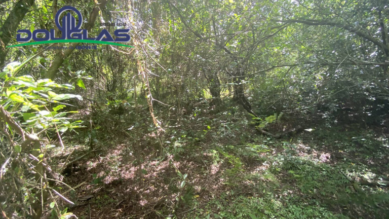 Imagem Terreno à Venda, 5.000 m² em Viamão Imagem Terreno à Venda, 5.000 m² em Viamão