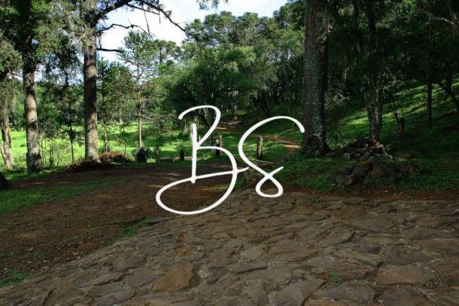 Imagem Terreno à Venda, 60.000 m² em Barragem Do Salto - São Francisco De Paula