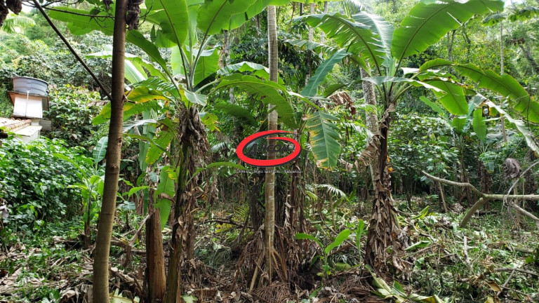 Imagem Terreno à Venda, 738 m² em Praia Da Fortaleza - Ubatuba Imagem Terreno à Venda, 738 m² em Praia Da Fortaleza - Ubatuba