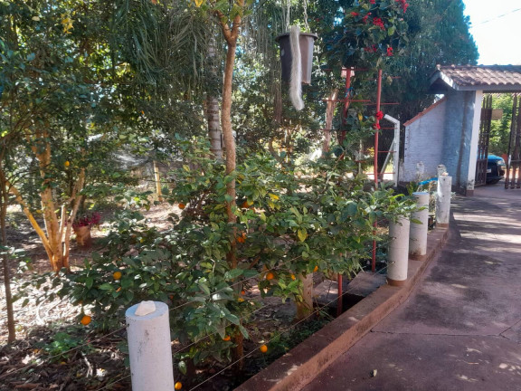Imagem Chácara com 4 Quartos à Venda, 4.060 m² em Caneleiras - Ouro Fino