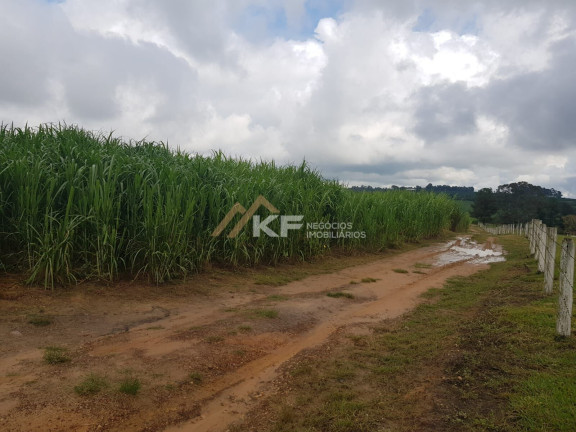 Imagem Imóvel com 2 Quartos à Venda, 800.000 m² em Zona Rural - Cajuru Imagem Imóvel com 2 Quartos à Venda, 800.000 m² em Zona Rural - Cajuru