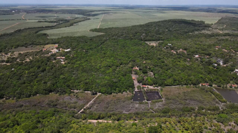 Imagem Terreno à Venda, 19 m² em Barra Do Cunhaú - Canguaretama