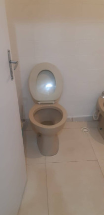 Imagem Apartamento com 3 Quartos para Alugar, em Cambuci - São Paulo Imagem Apartamento com 3 Quartos para Alugar, em Cambuci - São Paulo