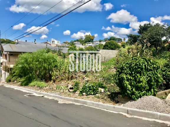 Imagem Terreno à Venda, 1.002 m² em Vila Nova - Carlos Barbosa Imagem Terreno à Venda, 1.002 m² em Vila Nova - Carlos Barbosa