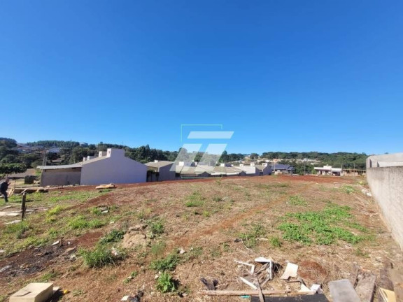 Imagem Casa à Venda, 1.302 m² em Cataratas - Cascavel Imagem Casa à Venda, 1.302 m² em Cataratas - Cascavel