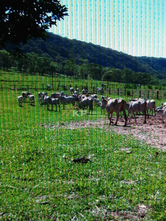 Imóvel com 5 Quartos à Venda,  em Centro - Rifaina