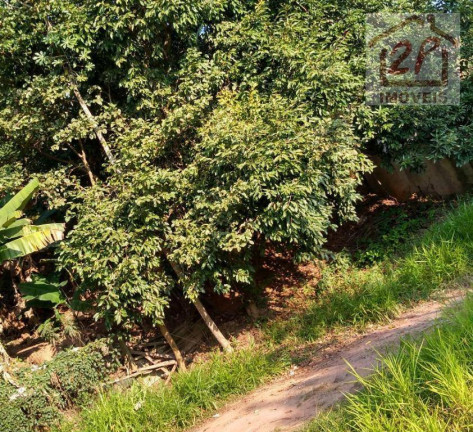 Imagem Chácara com 6 Quartos à Venda, 400 m² em Zona Norte - São José Dos Campos Imagem Chácara com 6 Quartos à Venda, 400 m² em Zona Norte - São José Dos Campos